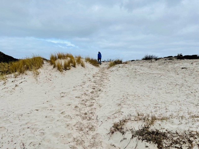 wandelroute-schoorl