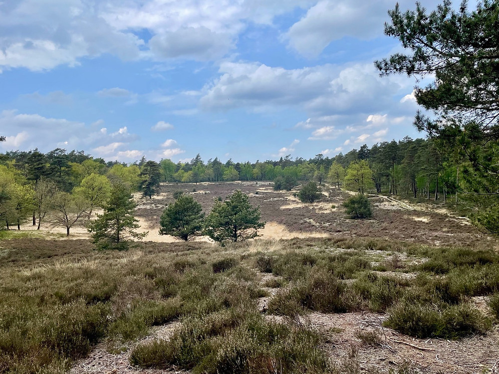 Trekvogelpad-veluwe