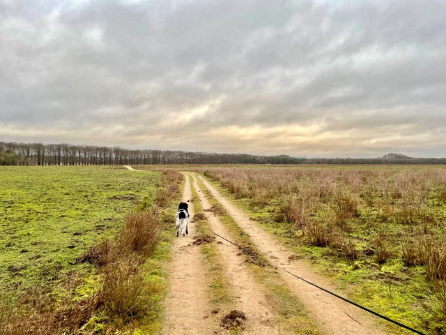 Planken-wambuis-wandelroute
