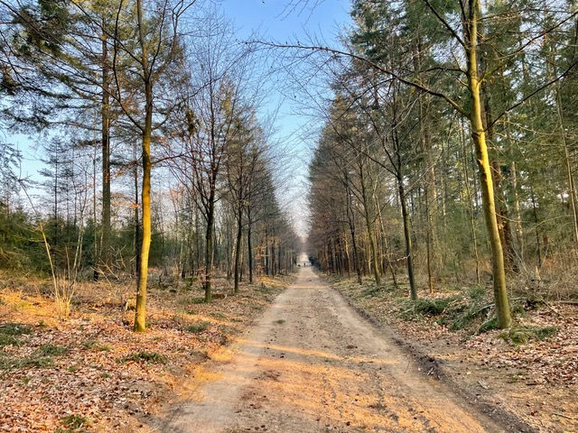 wandelen-wageningen