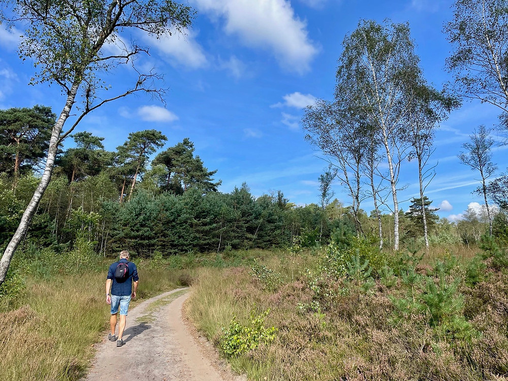 wandelen-ede-schaapskooiroute