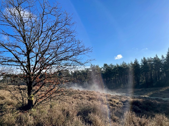 gele-zwerfkeien-wandelroute-loenen