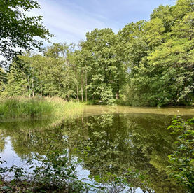 Wandelroute Schaarsbergen: 5 km aan wandelplezier