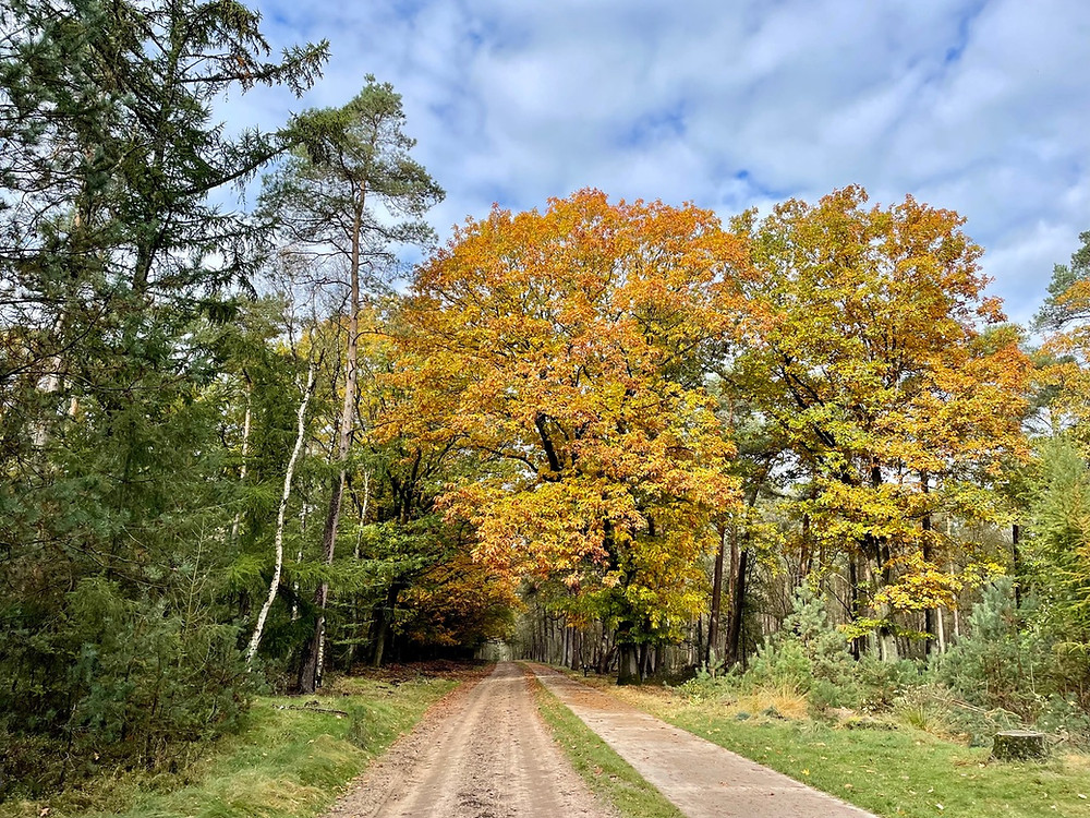 sprengen-wandelen-laag-soeren