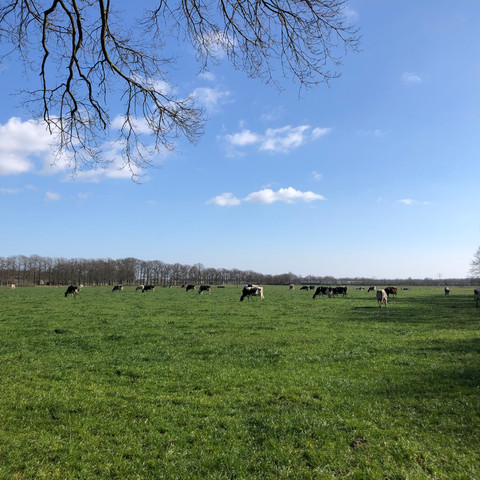 oundenhorsterpad-klompenpad-woudenberg