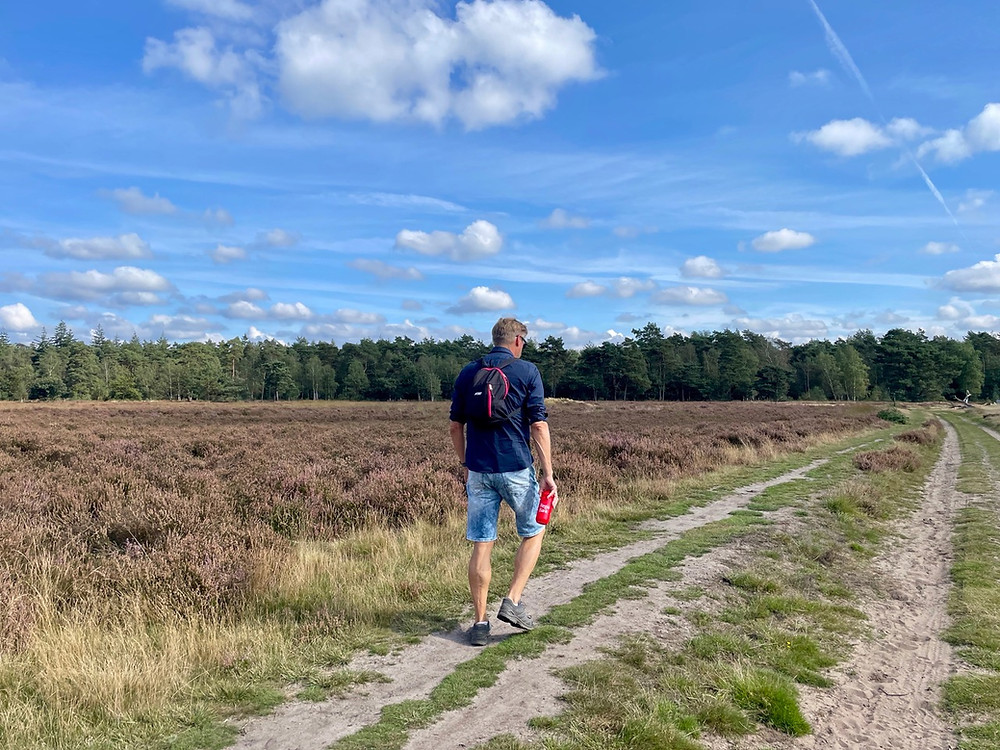 wandelen-ede-schaapskooiroute