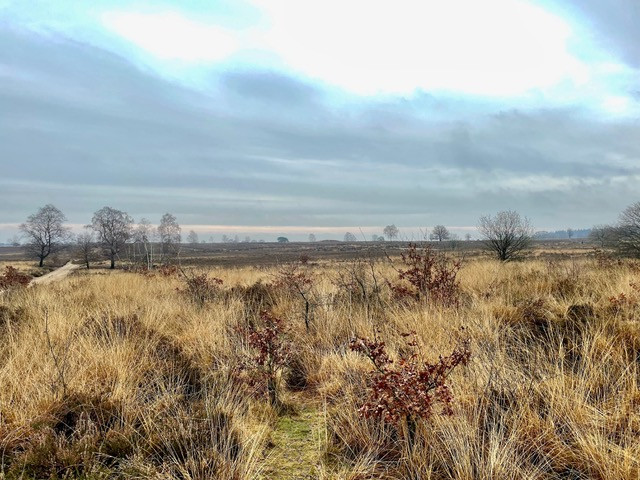 wandelroute-speulderbos