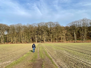 baron-van-spaenweg-wandeling