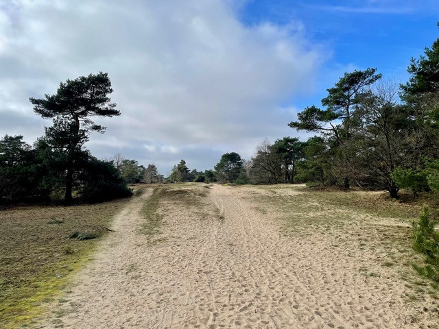 boswachterspad-kootwijk