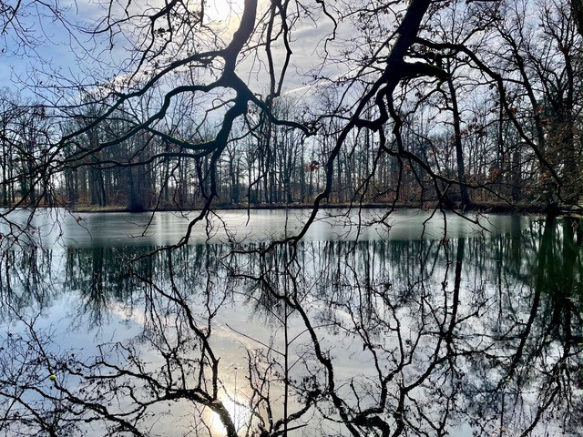 wandeling-velp