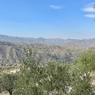cyprus-rondreis-twee-weken