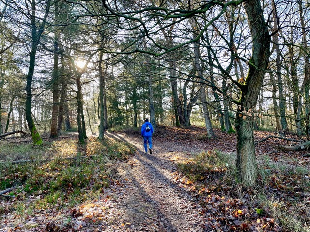 gele-zwerfkeien-wandelroute-loenen