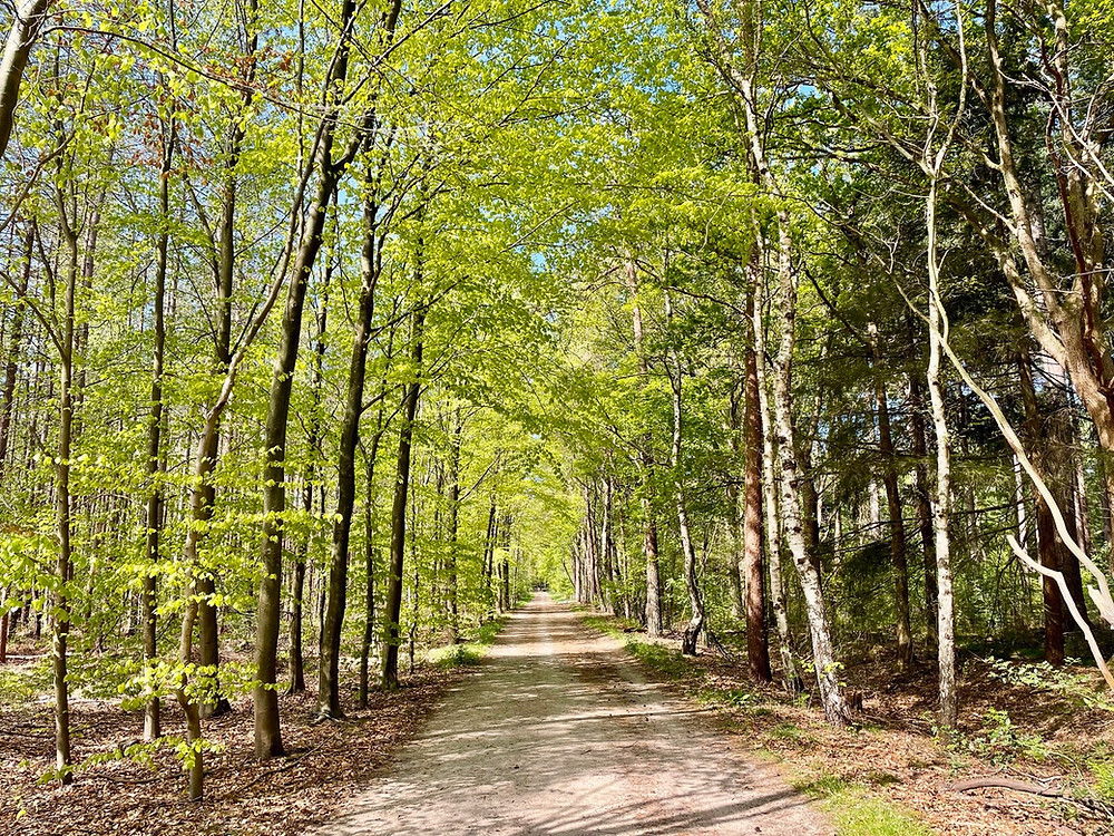 Trekvogelpad-etappe-9