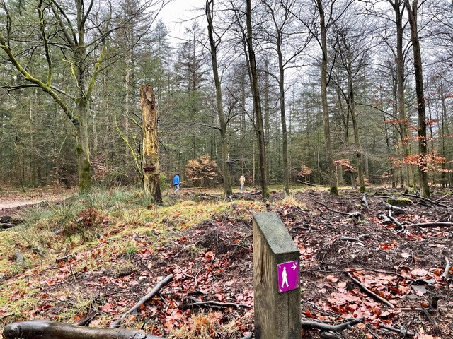 Wandelen-Garderen-pad-van-zus