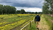 Glindhorsterpad nabij Barneveld: een klompenpad met verrassingen