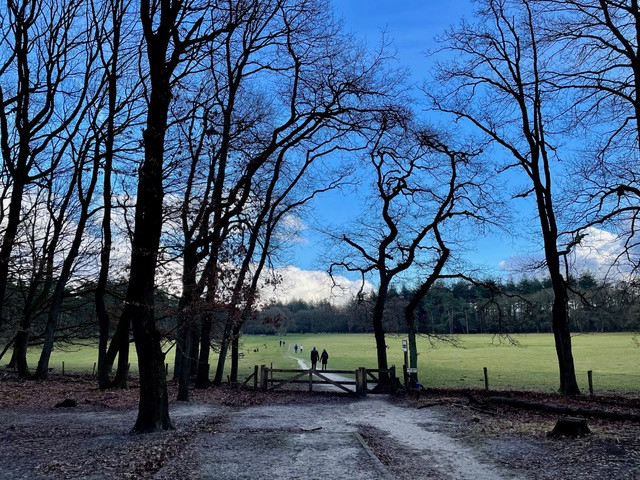 wandelen-hei