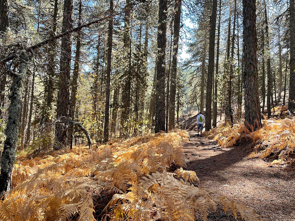 wandelen-cyprus-troodos