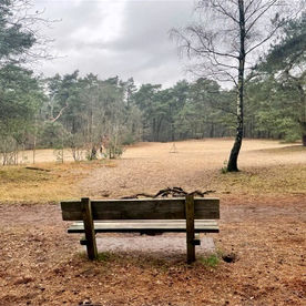 Wandelen de Bilt Beerschoten: bos, beeldentuin en landgoed