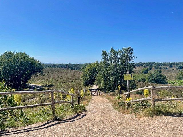 ns-wandeling-dieren-rheden