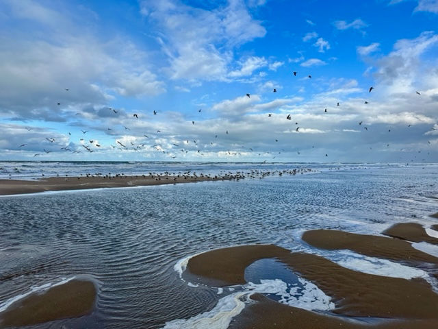 wandelen-scheveningen