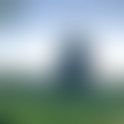 Molendag 2023: Drie mooie molenwandelingen