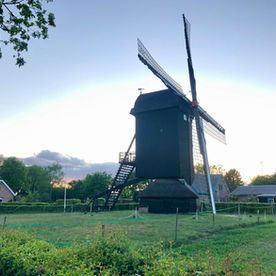Molendag 2023: Drie mooie molenwandelingen