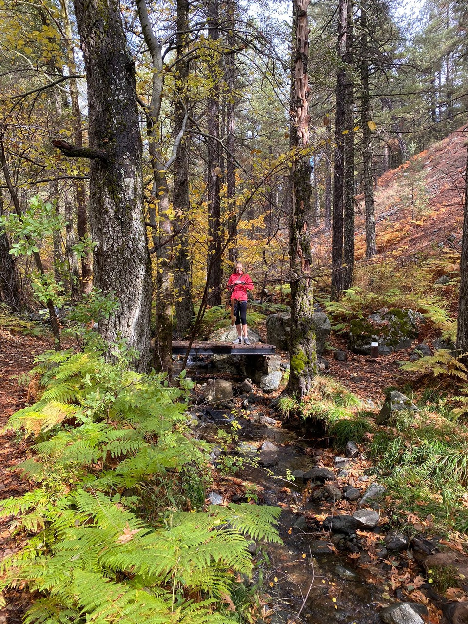 wandelen-cyprus-troodos