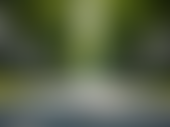 Beginner Real Estate Tips: Your Guide to Navigating the Market with Confidence