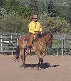 chevaux gizeux.jpg
