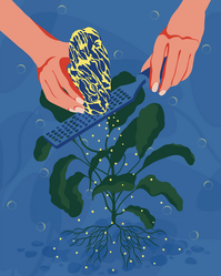 My illustration MAGIC STONE for DrawDAO, a 100% volunteer run non-profit with the mission to reverse climate change. They collaborate with the Carbon Gardener.