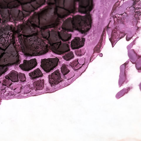 NATURAL PIGMENTS