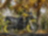 voge 300 1.jpg