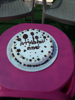 החווה של בני נס ציונה יום הולדת גיל 5-4