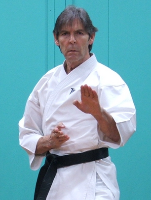Karate Essence ‘Reality Check’: ‘Karate Chop/Shuto’