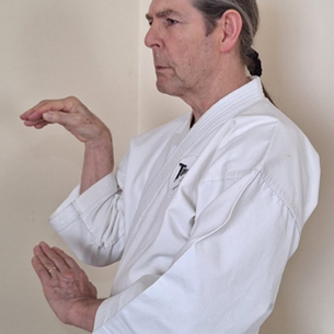 Kakuto & Keito: Chicken Wrist & Chicken Beak