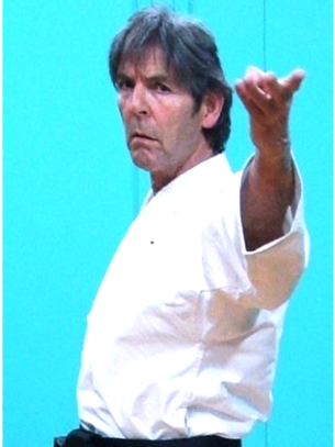 Haito Uchi / Uke or Ridge Hand Strike / Block 