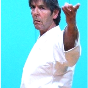 Haito Uchi / Uke or Ridge Hand Strike / Block 