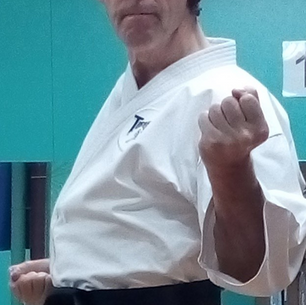 Karate Essence ‘Reality Check’: Uke Does Not Mean Block 