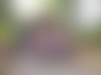 Turnau Holiday Summer” once again made children’s eyes shine