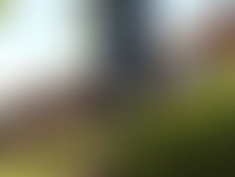 Defensive Characteristics of Motels