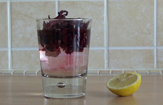 Nutritional Powerhouse: Unveiling the Health Benefits of Raw Hibiscus
