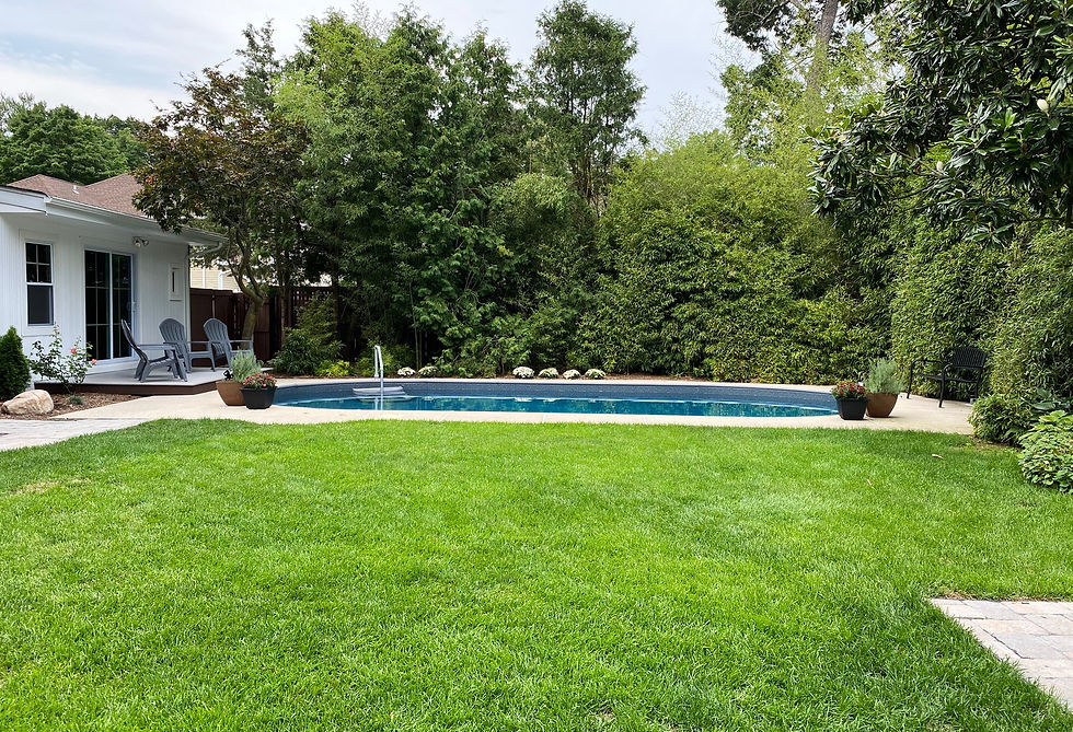 Backyard w/ IG Pool