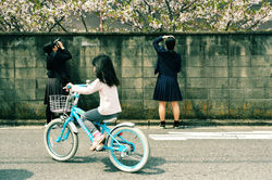 DCM2017.3〈桜ﾌｫﾄｺﾝﾃｽﾄ〉佳作