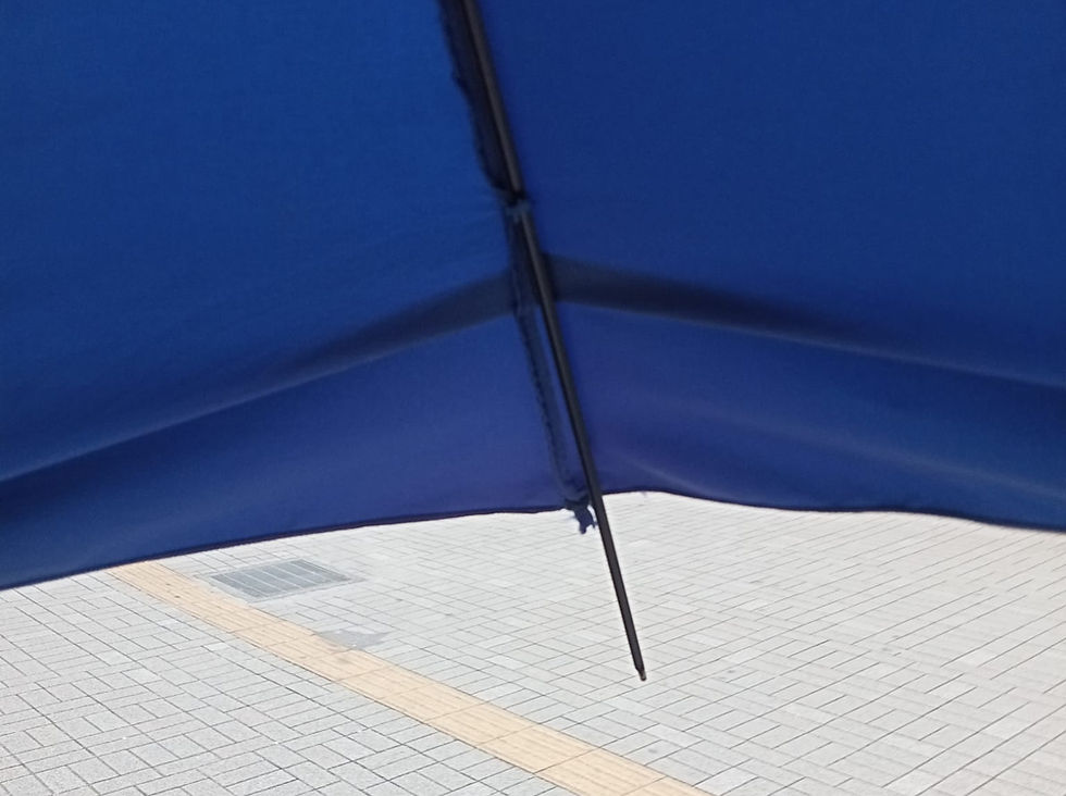 Mottainai