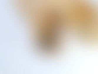 Tiny Seeds, Lifelong Protection: How Super Seeds Strengthen the Heart and Modern Health