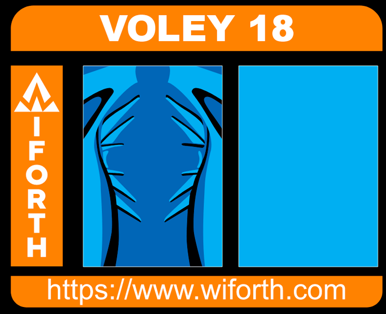 VOLEY 018