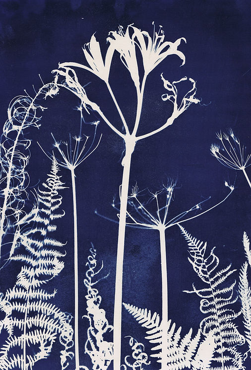 Seed Time III, 315 x 450 mm by Helen Roberts .jpeg