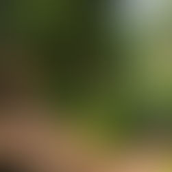 Top Mistakes Business Owners Make When Approached by Buyers and How to Avoid Them