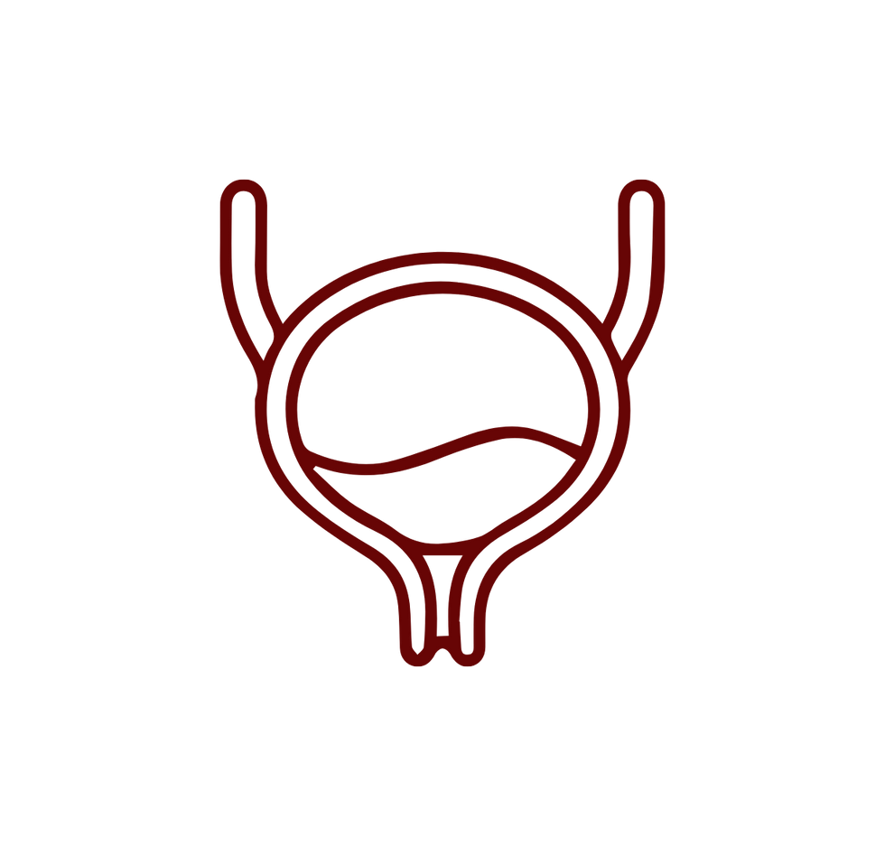 urinary-wellness-and-uric-acid-support.png