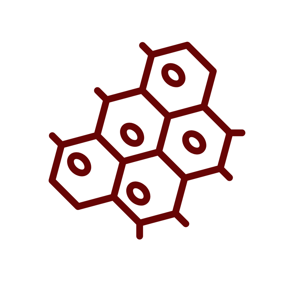 Provides key nutrients involved in rebuilding damaged tissues and supporting recovery.png